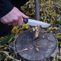 BPSKnives Raven SSH nůž